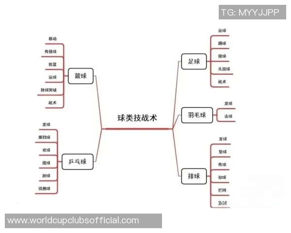 广州篮球队意识探讨与战术创新的深度分析与展望